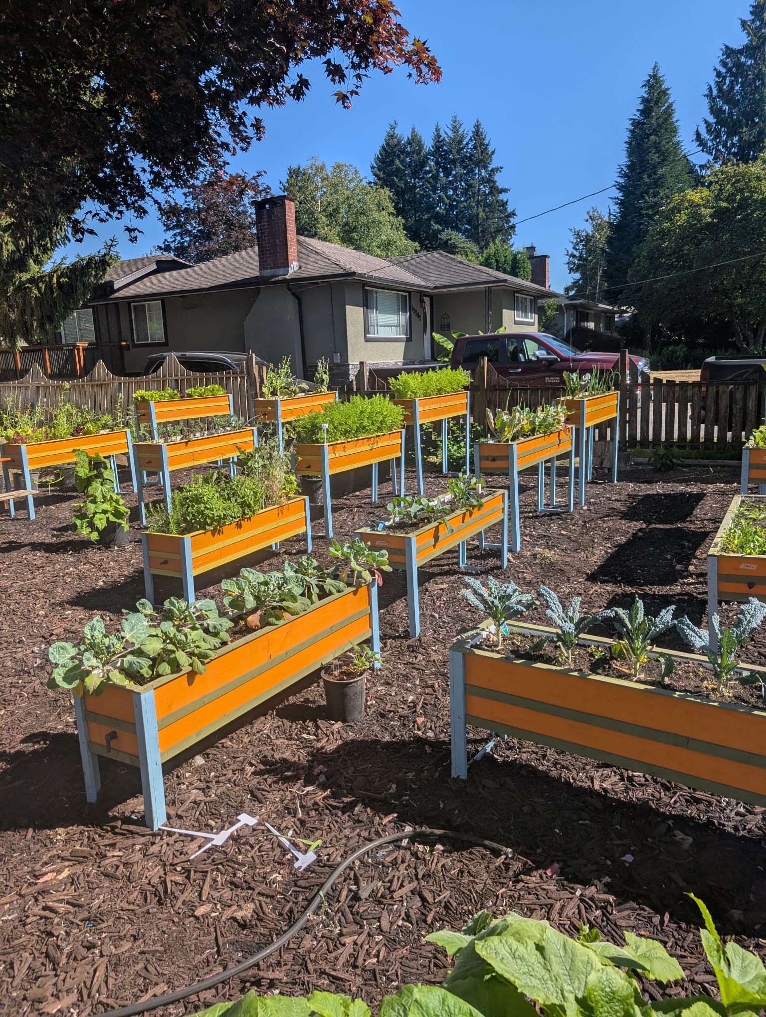 Handmade Planters raised beds growing vegetables in a customer's front yard
