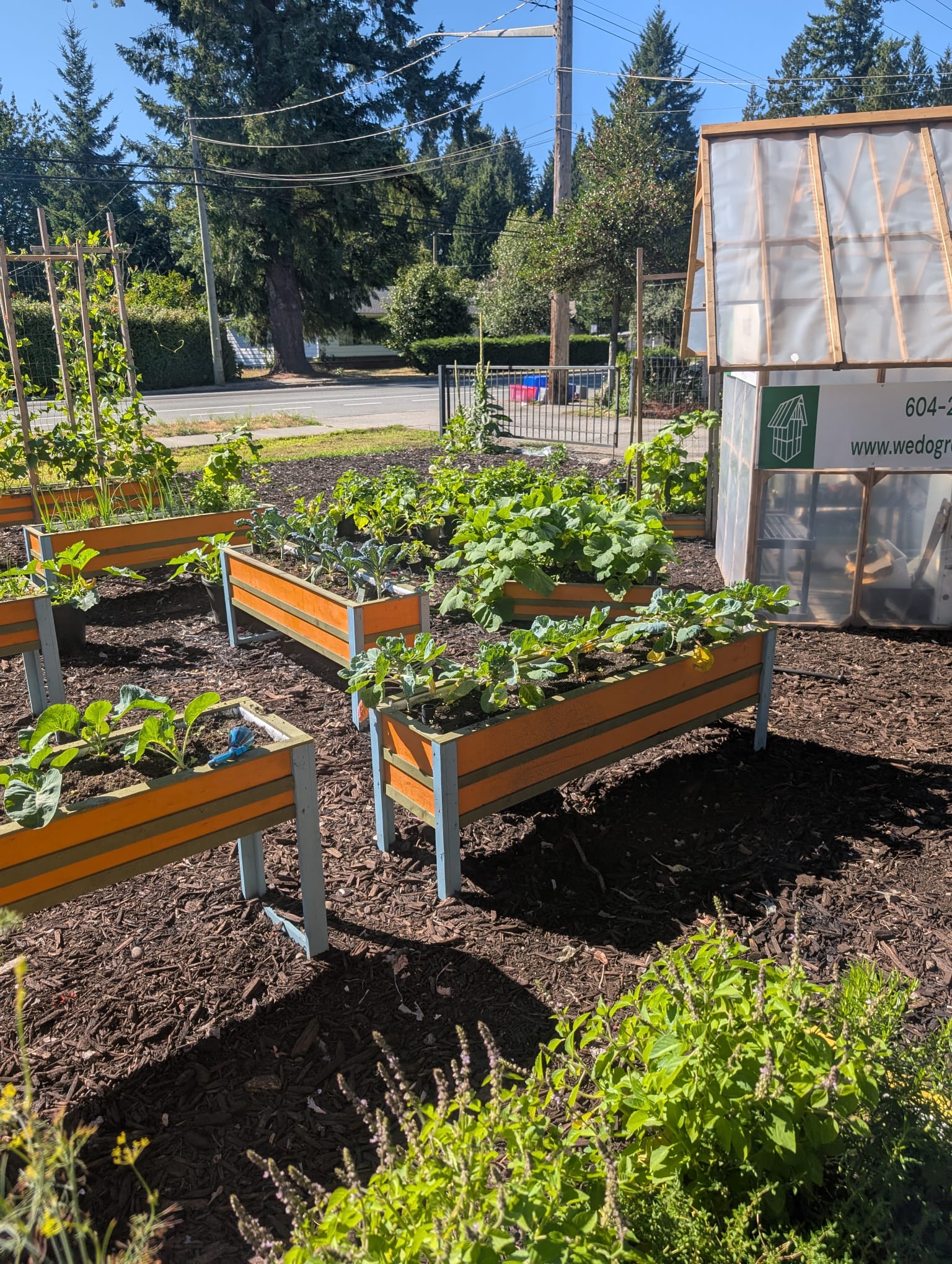 Handmade Planters raised beds growing vegetables in a customer's front yard
